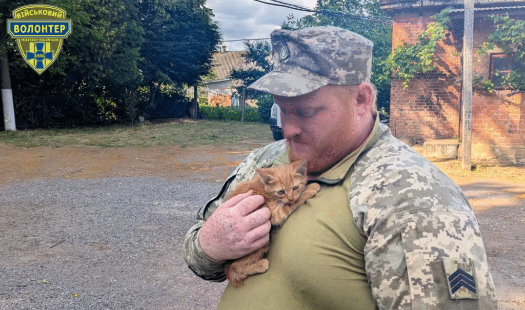 ГО “УНІА” передала на передову чергову порцію допомоги та кошеня